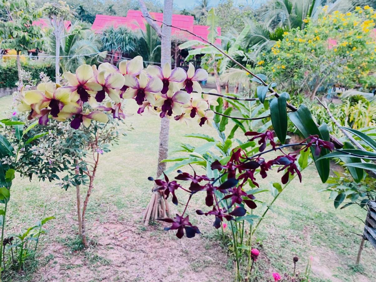Nadia Resort Kohjum Koh Jum Luaran gambar