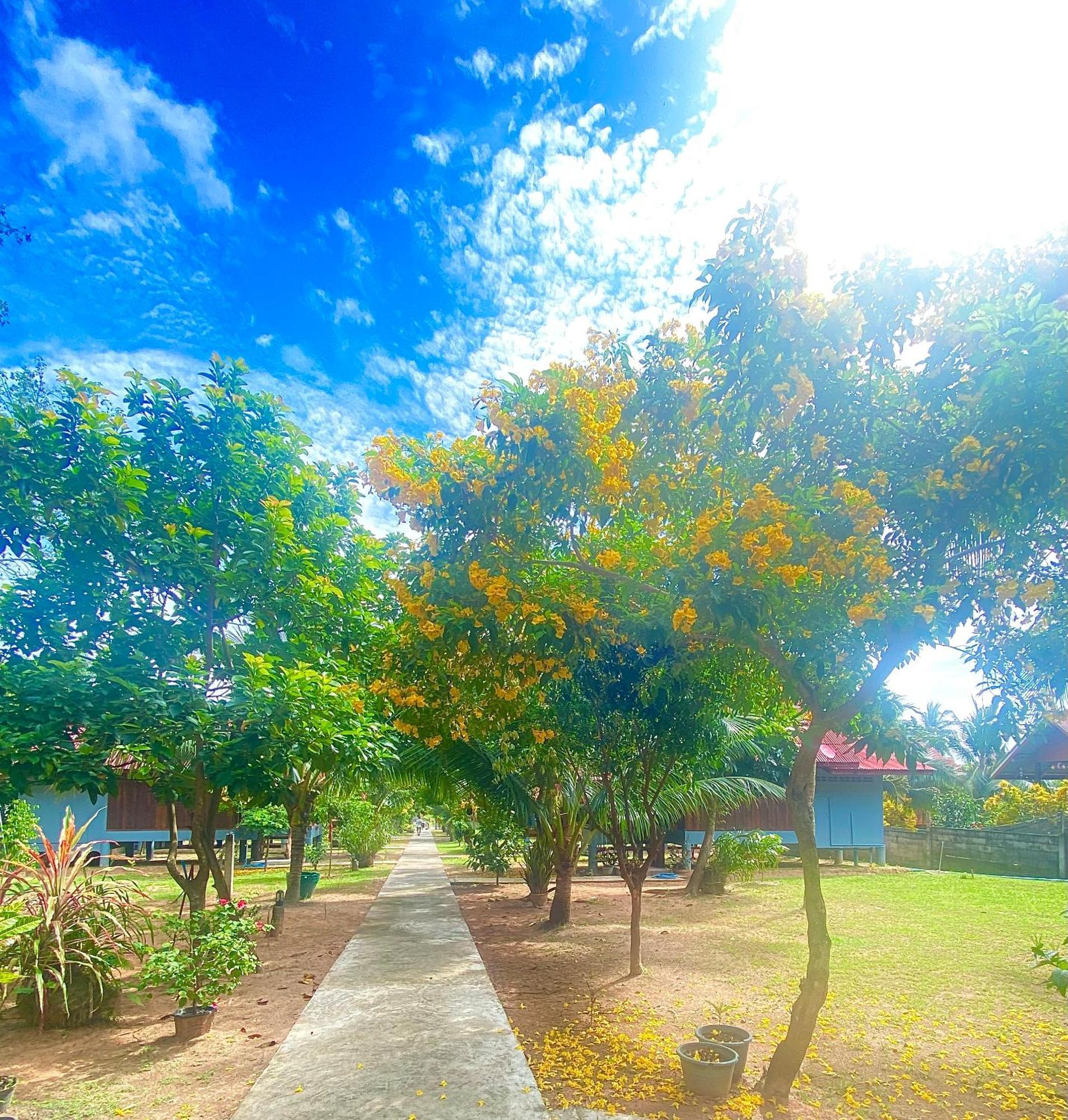 Nadia Resort Kohjum Koh Jum Luaran gambar